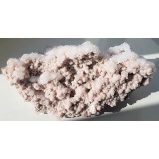 Wspaniała druza kryształów rodochrozytu z Trepczy (Kosowo)