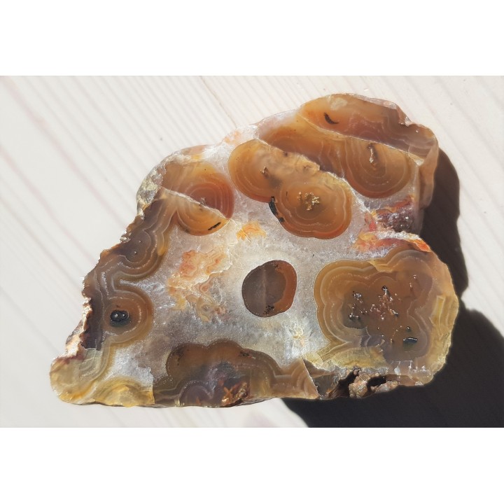 Karneol, agat "rzeczny" z Bobru w Sudetach (river agate)