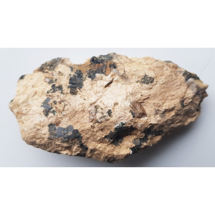 Wyjątkowy okaz tytanitu z Gór Sowich