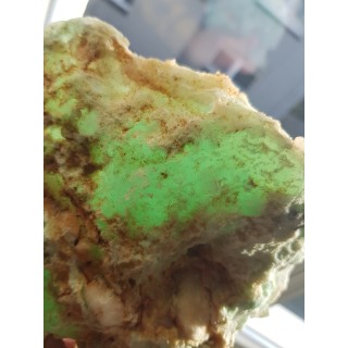 Wyjątkowy okaz chryzoprazu z Wir k. Sobótki