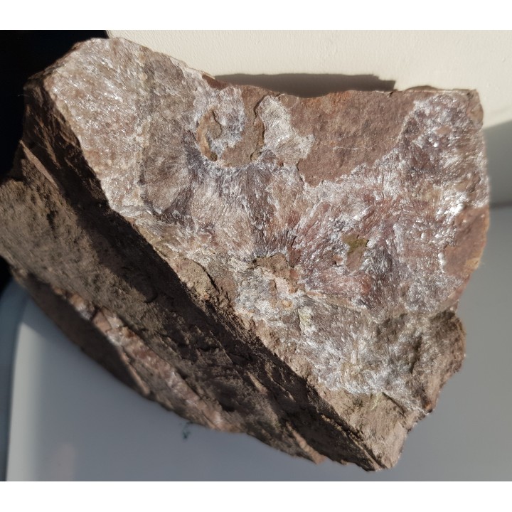 Kwarc gwiaździsty z Okrzeszyna