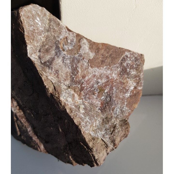 Kwarc gwiaździsty z Okrzeszyna