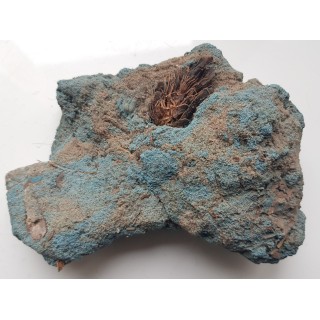 Wiwianit z pobrzeża Bałtyku