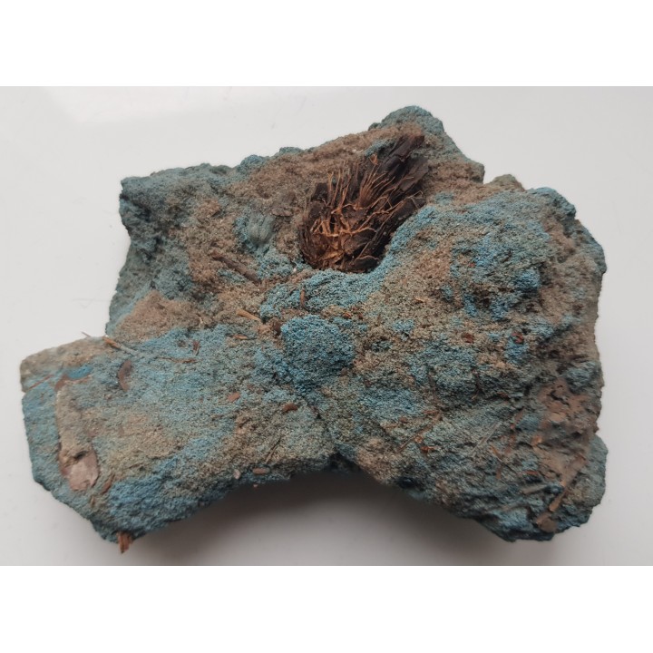 Wiwianit z pobrzeża Bałtyku