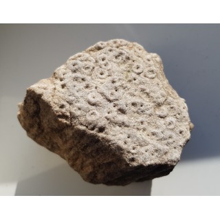 Piaskowiec scolithusowy (eratyk), lubuskie