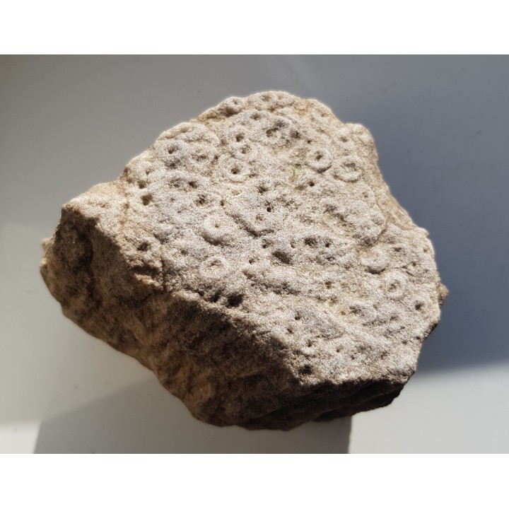 Piaskowiec scolithusowy (eratyk), lubuskie