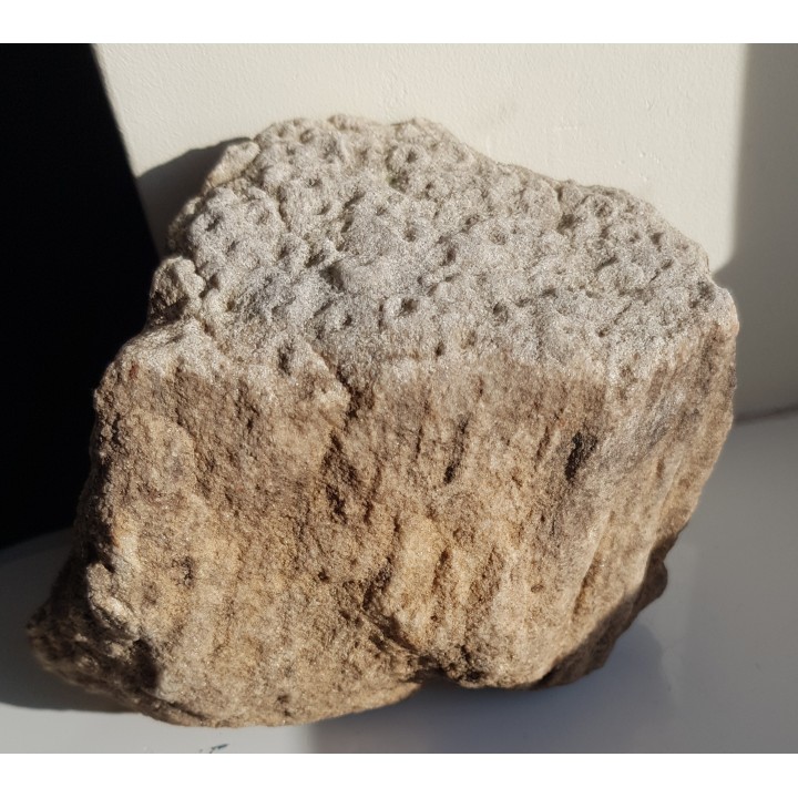 Piaskowiec scolithusowy (eratyk), lubuskie