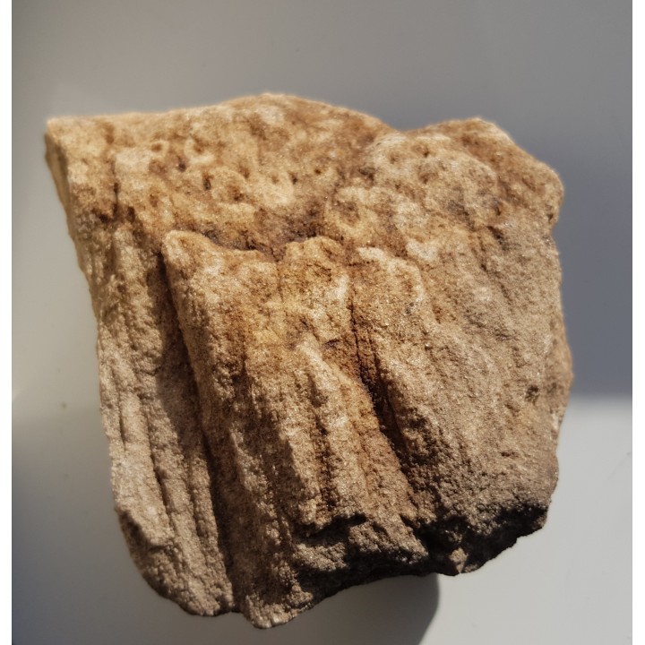 Piaskowiec scolithusowy (eratyk), lubuskie