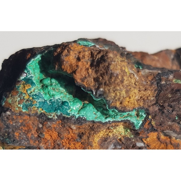 Malachit w żelaziaku brunatnym z Gór Kaczawskich