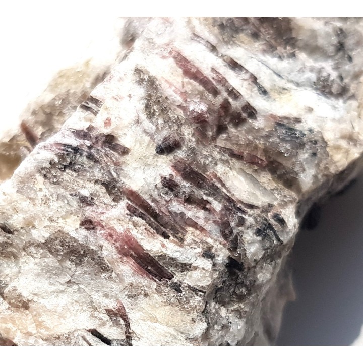 Elbait z Piławy Grn.