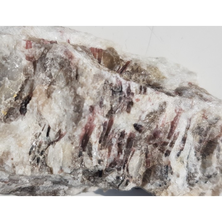 Elbait z Piławy Grn.