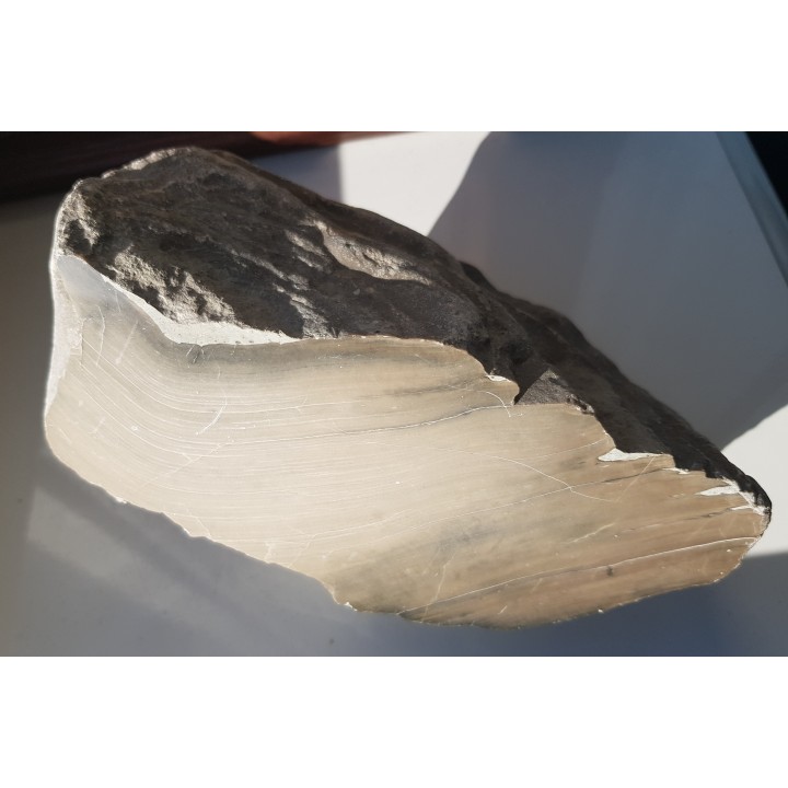 Duży stromatoporoid, eratyk, Mazury