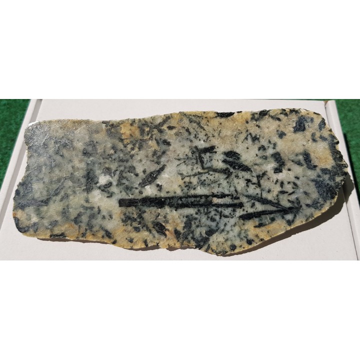 Wyjątkowy eratyk plagioklazowo-amfibolowy z Cedyni