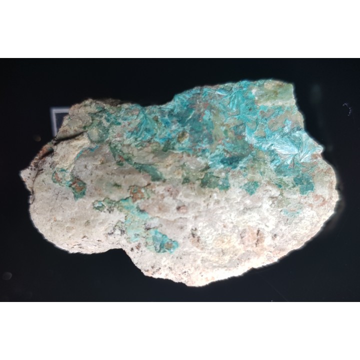 Tyrolit z Rędzin k. Kamiennej Góry