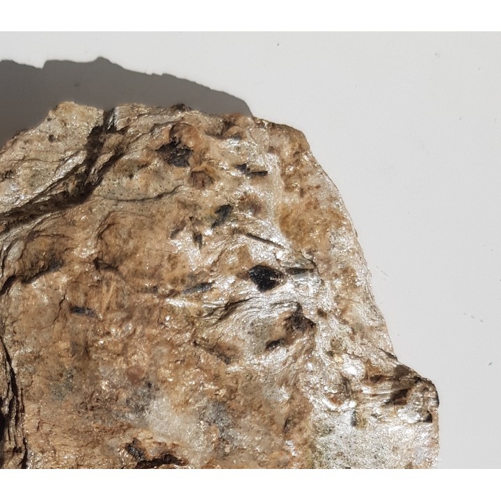 Staurolit w łupku mikowym z Głuchołaz