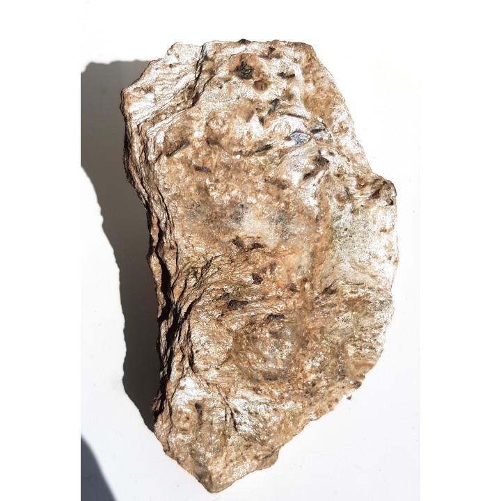 Staurolit w łupku mikowym z Głuchołaz