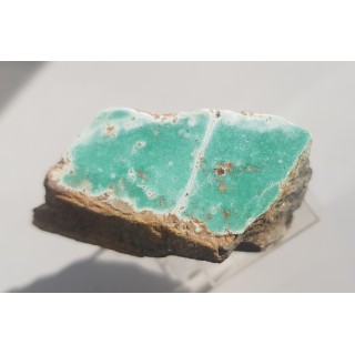 Turkus z Pustkowa Wilczkowskiego