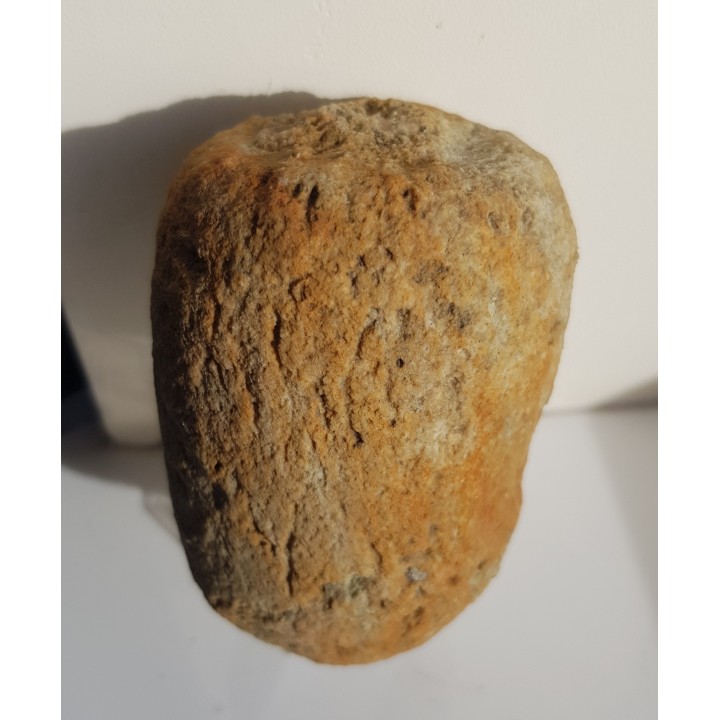 Gąbka kredowa z Opola