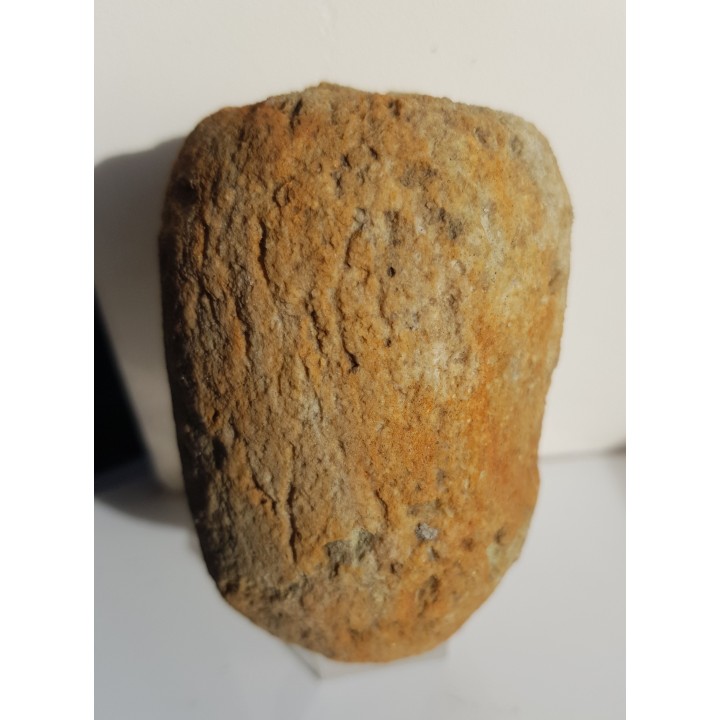 Gąbka kredowa z Opola