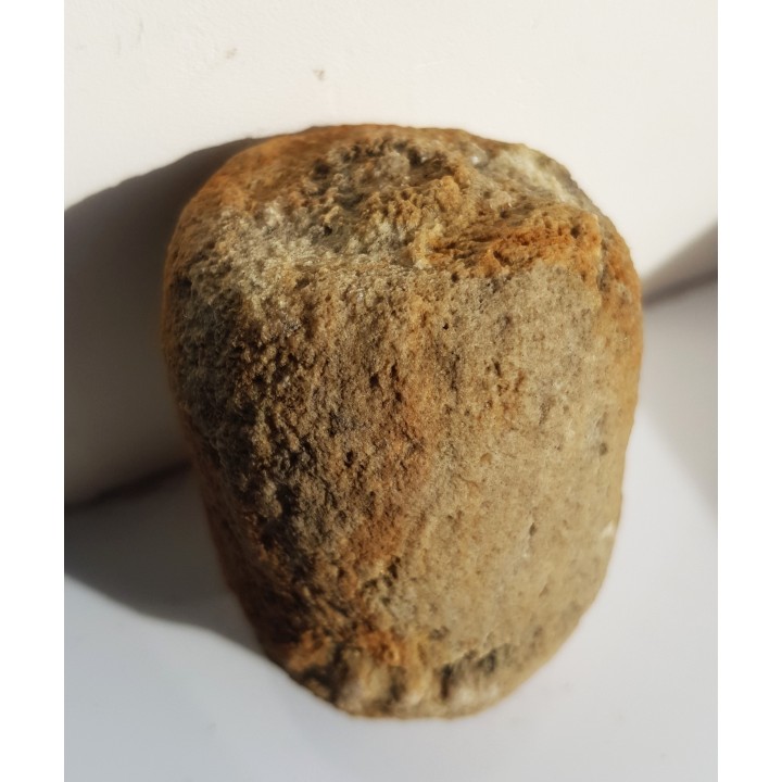 Gąbka kredowa z Opola