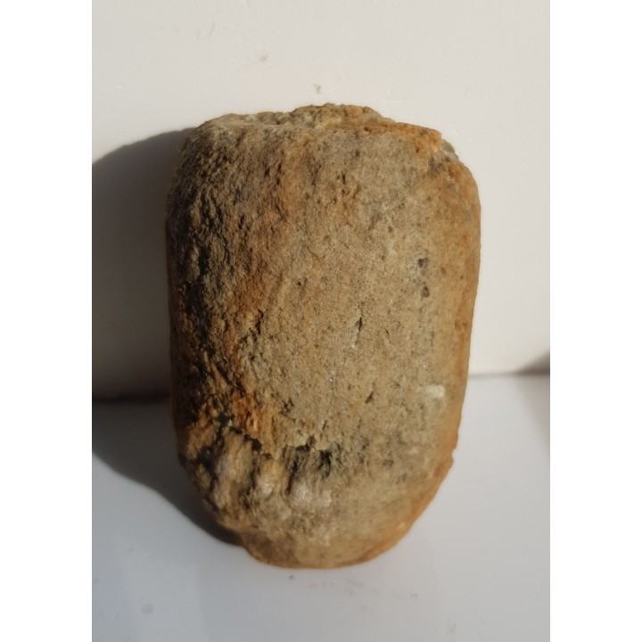 Gąbka kredowa z Opola