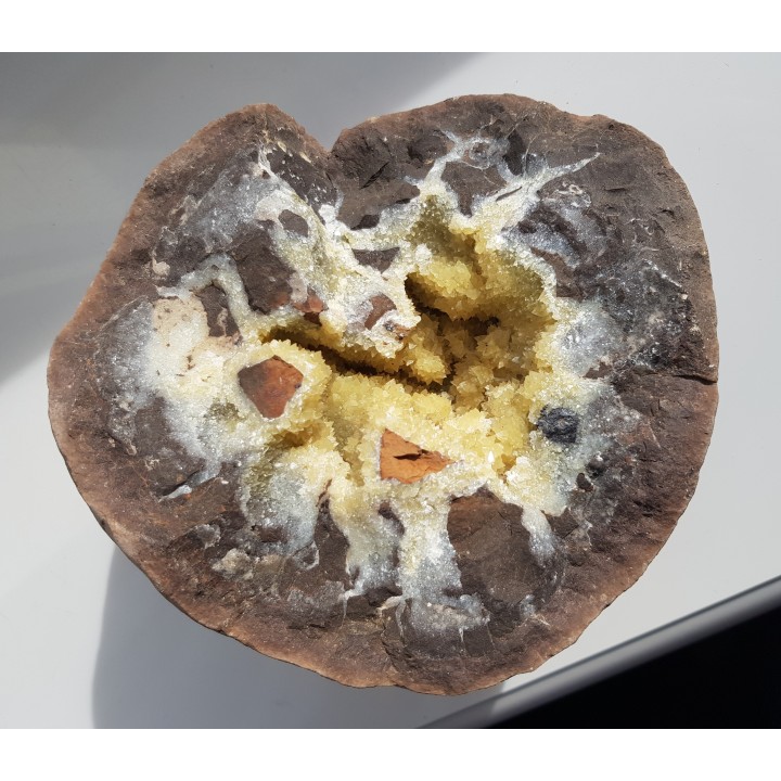 Septaria z Częstochowy