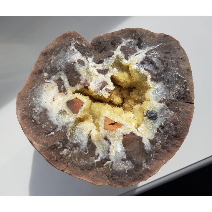 Septaria z Częstochowy