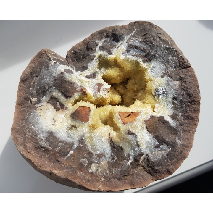 Septaria z Częstochowy