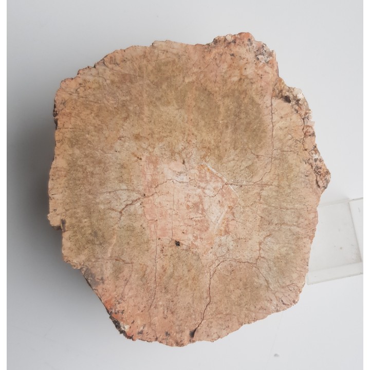 Granit kulisty (orbikularny) z Czarnego k. Jeleniej Góry