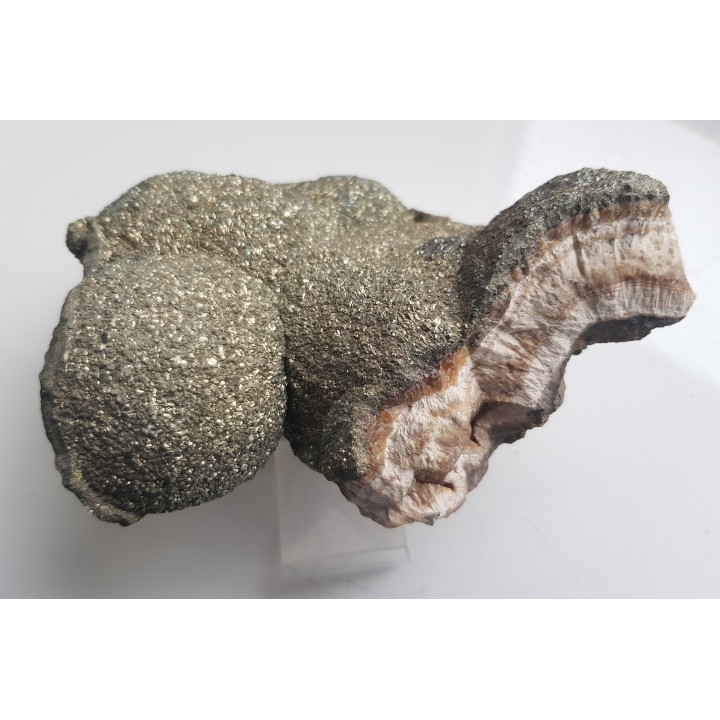 Okaz barytu pokrytego markasytem z LGOM