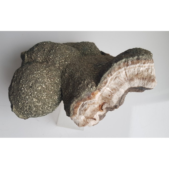 Okaz barytu pokrytego markasytem z LGOM