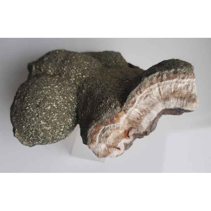 Okaz barytu pokrytego markasytem z LGOM