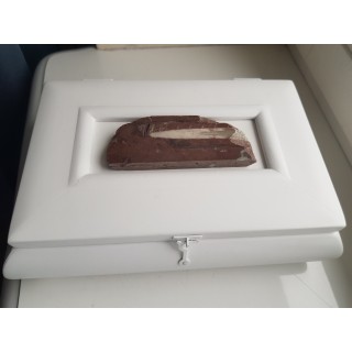 Biała szkatułka z paleozoicznym orthocerasem
