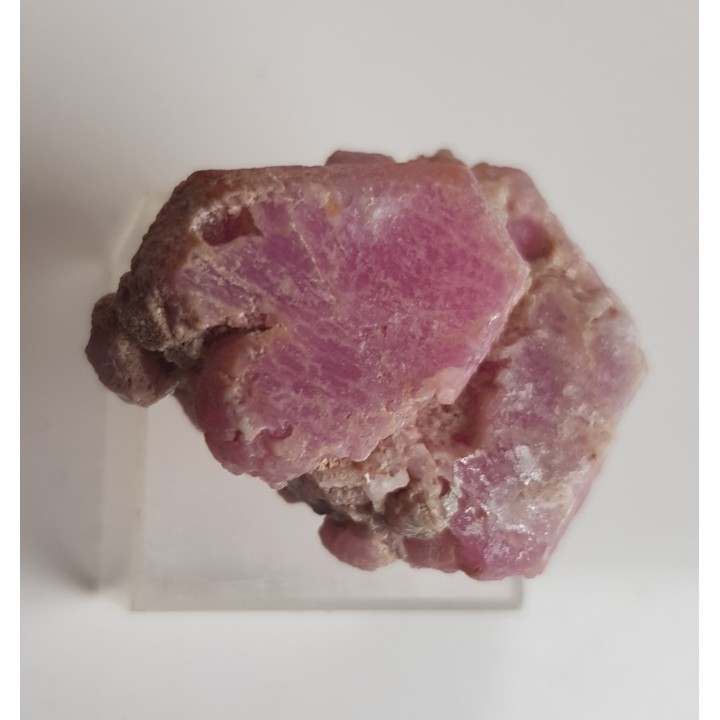 Kryształ rubinu z Prilepu (Macedonia Płn.)