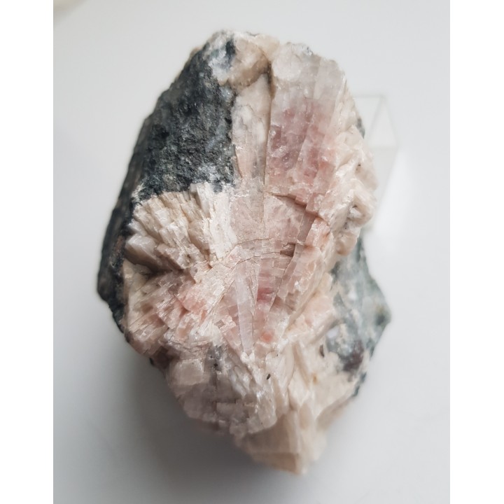 Żyła barytowo-kwarcowa z Ciechanowic