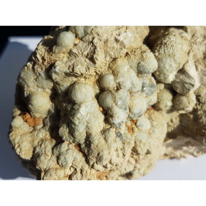 Okaz aragonitu-kalcytu z Grochowej