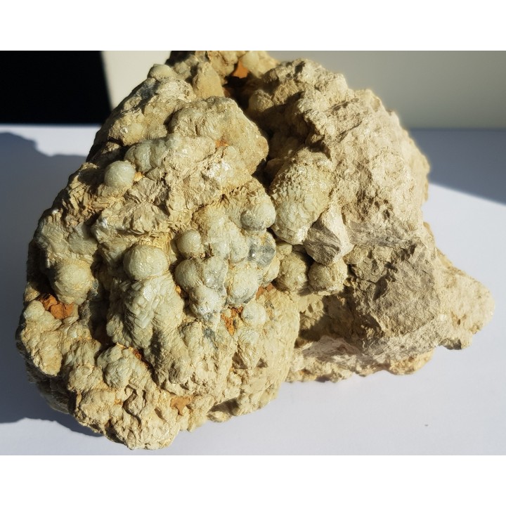 Okaz aragonitu-kalcytu z Grochowej