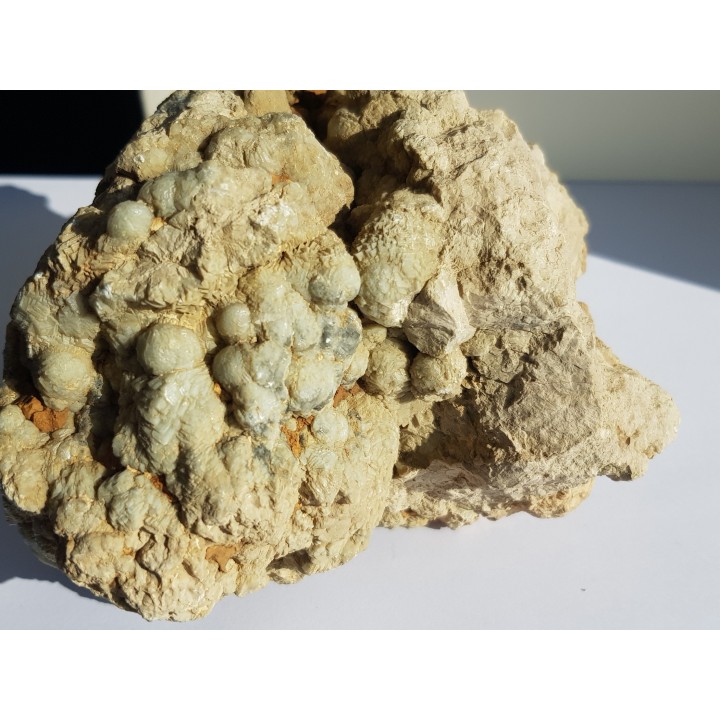 Okaz aragonitu-kalcytu z Grochowej