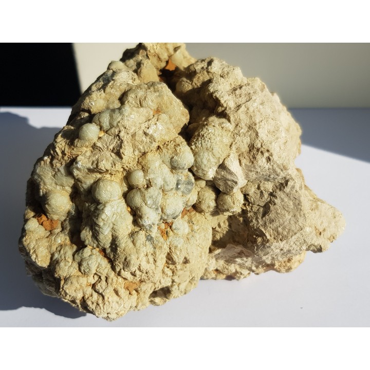 Okaz aragonitu-kalcytu z Grochowej