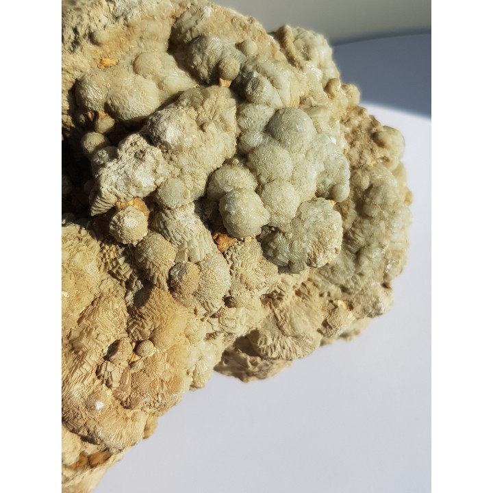 Okaz aragonitu-kalcytu z Grochowej