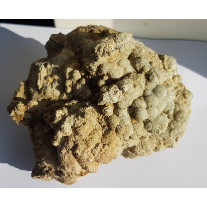 Okaz aragonitu-kalcytu z Grochowej