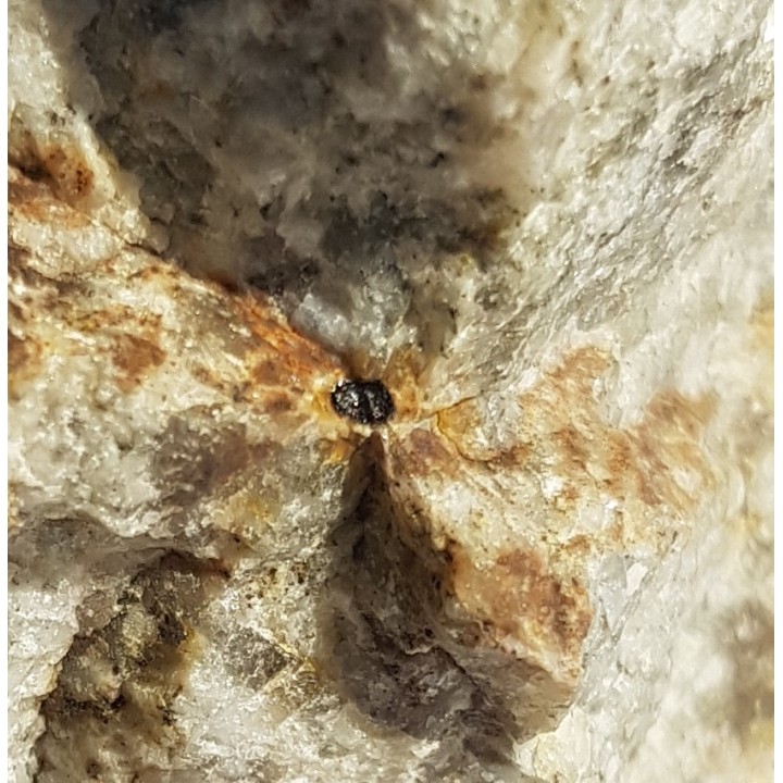 Allanit w pegmatycie z Koźmic, Wzg. Strach