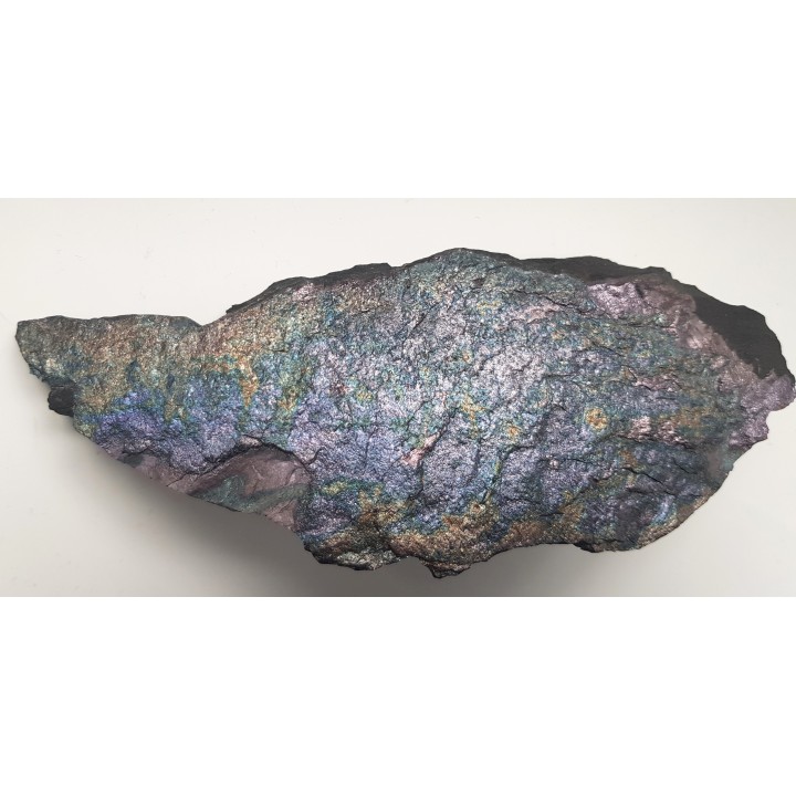 Piękny okaz bornitu na łupku miedzionośnym z KGHM