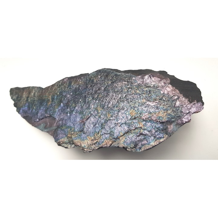 Piękny okaz bornitu na łupku miedzionośnym z KGHM