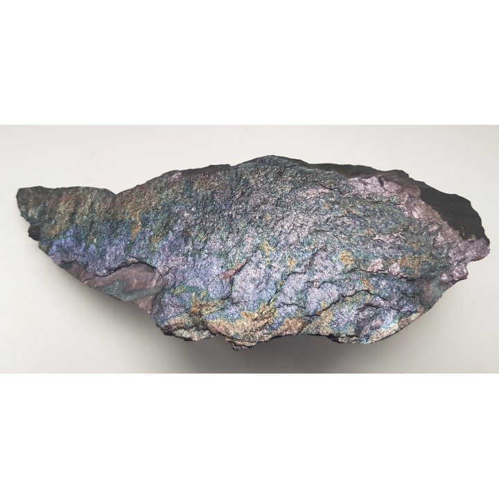 Piękny okaz bornitu na łupku miedzionośnym z KGHM