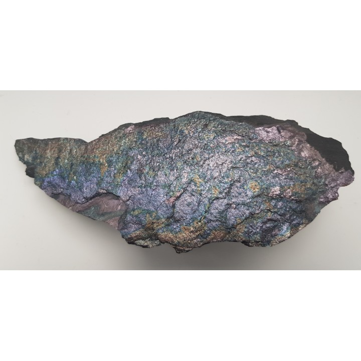 Piękny okaz bornitu na łupku miedzionośnym z KGHM