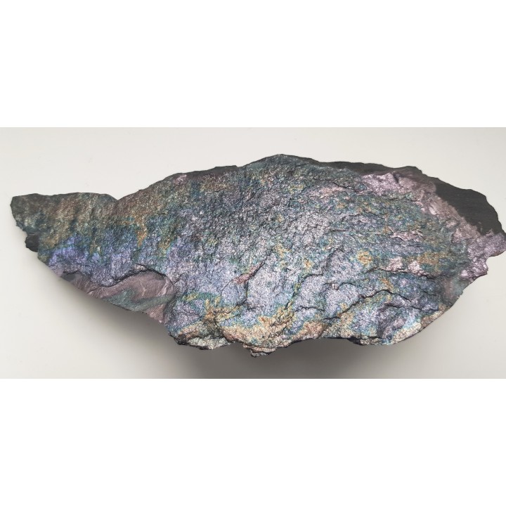 Piękny okaz bornitu na łupku miedzionośnym z KGHM