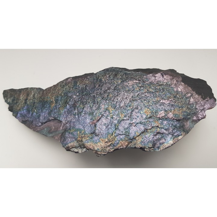 Piękny okaz bornitu na łupku miedzionośnym z KGHM