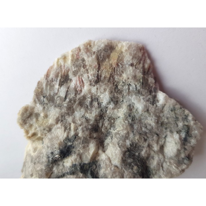 Elbaity z Piławy Grn.