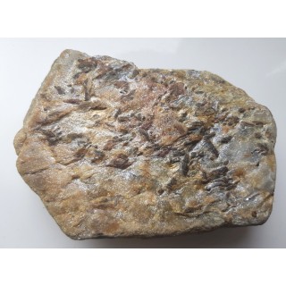 Staurolit w łupku mikowym z Głuchołaz